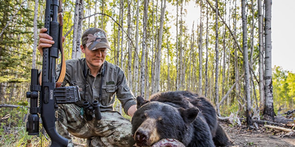 Bear harvest down after weekend opening of firearms season 